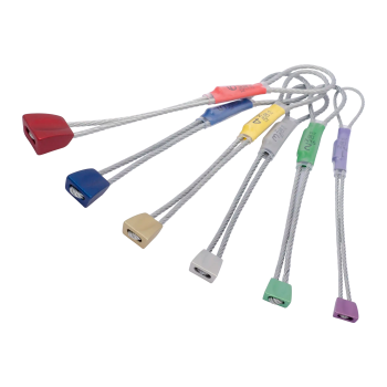 Wallnut Set #1-#6 - Kiilasetti