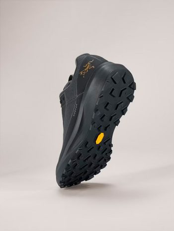 Norvan LD 4 GTX - kengät - Image 3