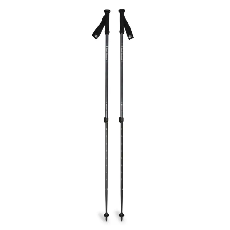 Explorer 2 Trekking Poles - vaellussauva